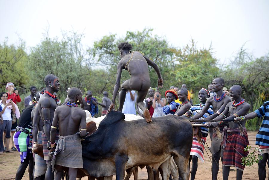 Bull-jumping Ceremony