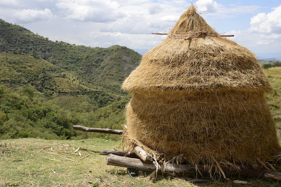 Terraced Fields