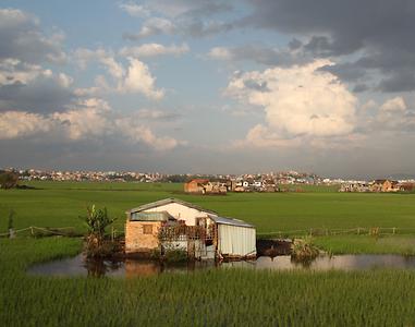 Madagascar/ mixed glimpses