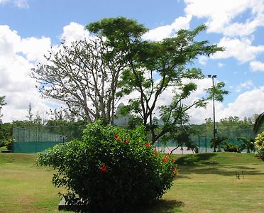 Mauritius