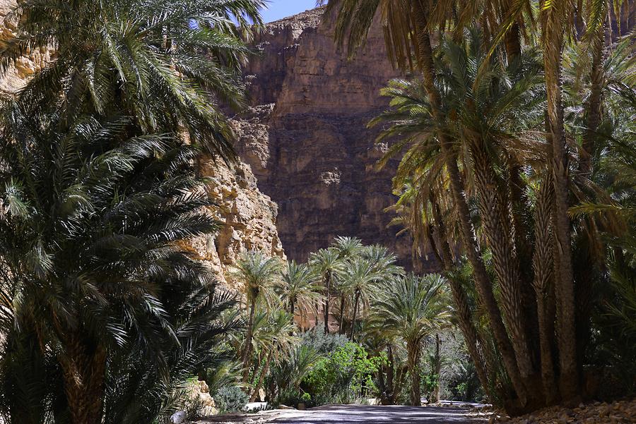 Ait Mansour Valley