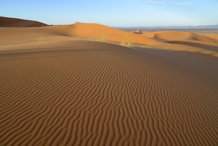 Erg Chebbi - Sunrise