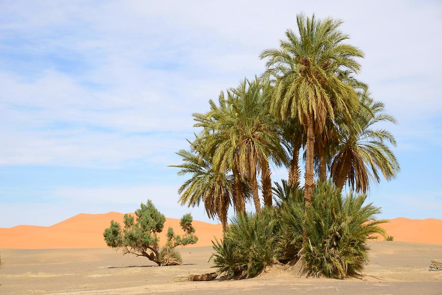 Erg Chebbi