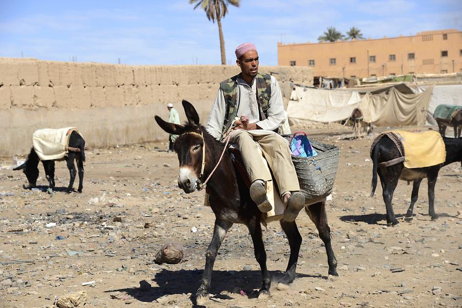 'Parking Lot' for Donkeys