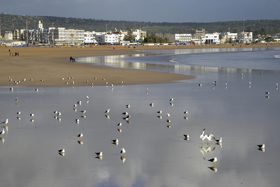 Essaouira - Beach