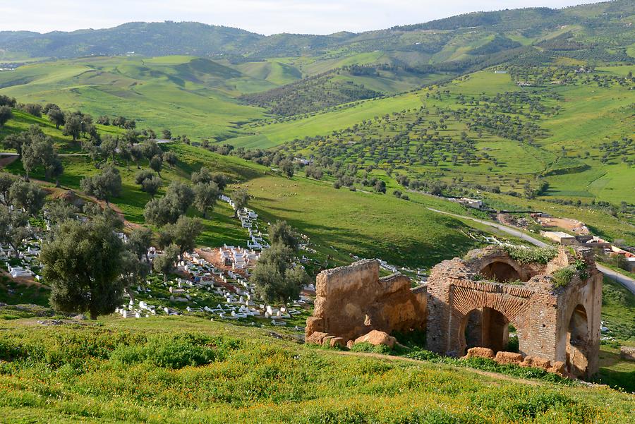 Fes - Marinid Tombs