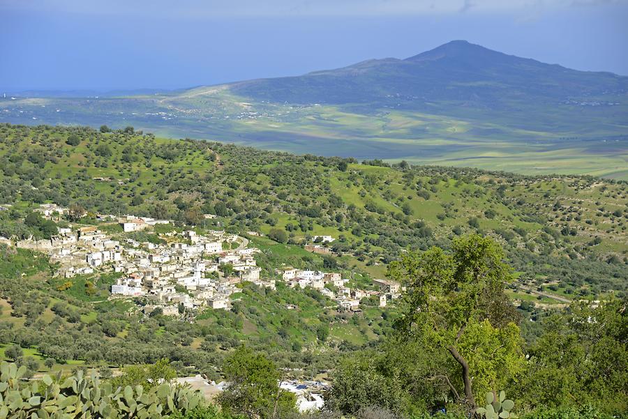 Landscape near Volubilis