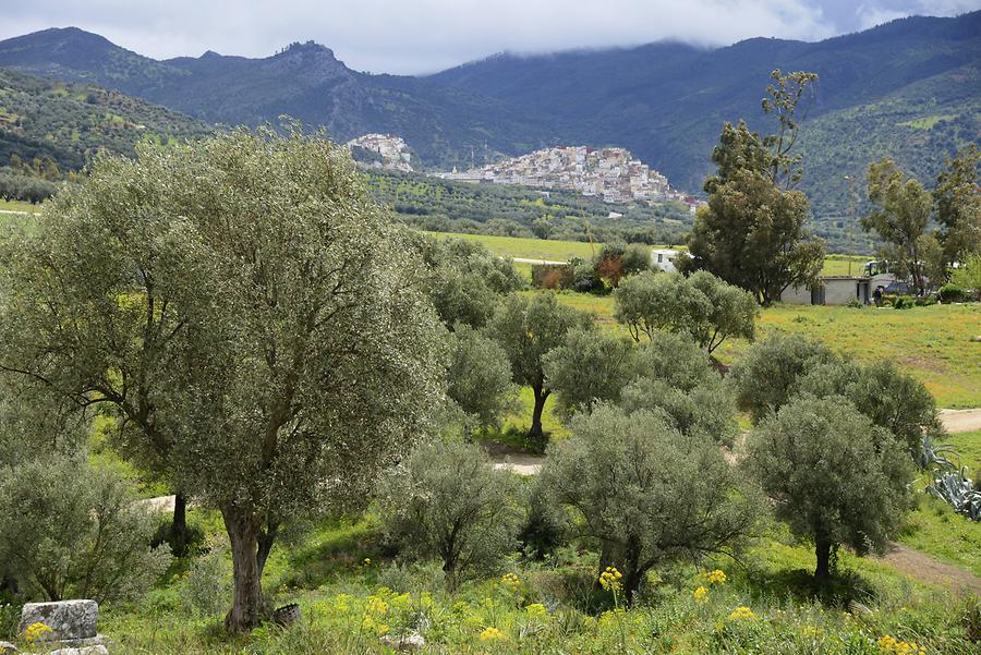 Moulay Idriss Zerhoun