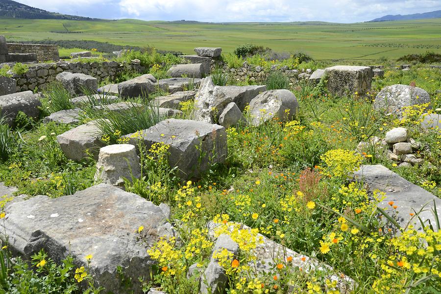 Volubilis