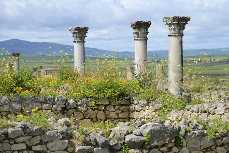 Volubilis - Atrium House