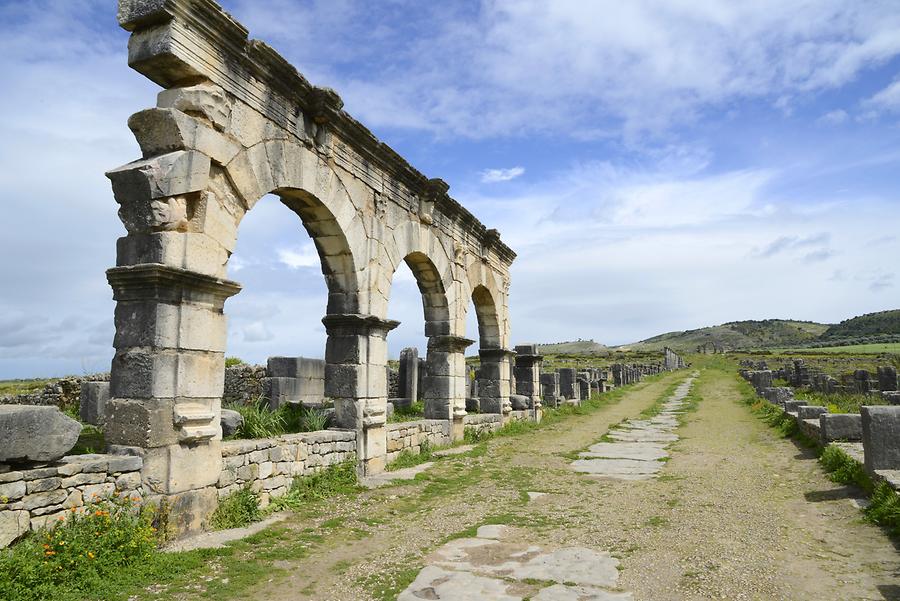 Volubilis - Decumanus Maximus