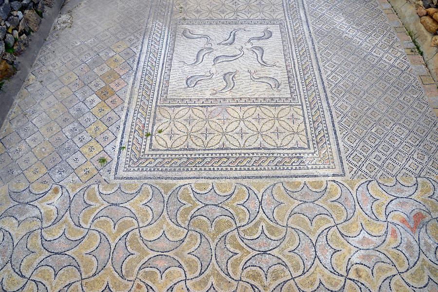 Volubilis - Tessellations