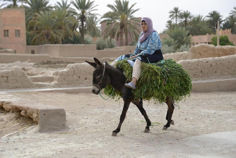 Berber Woman