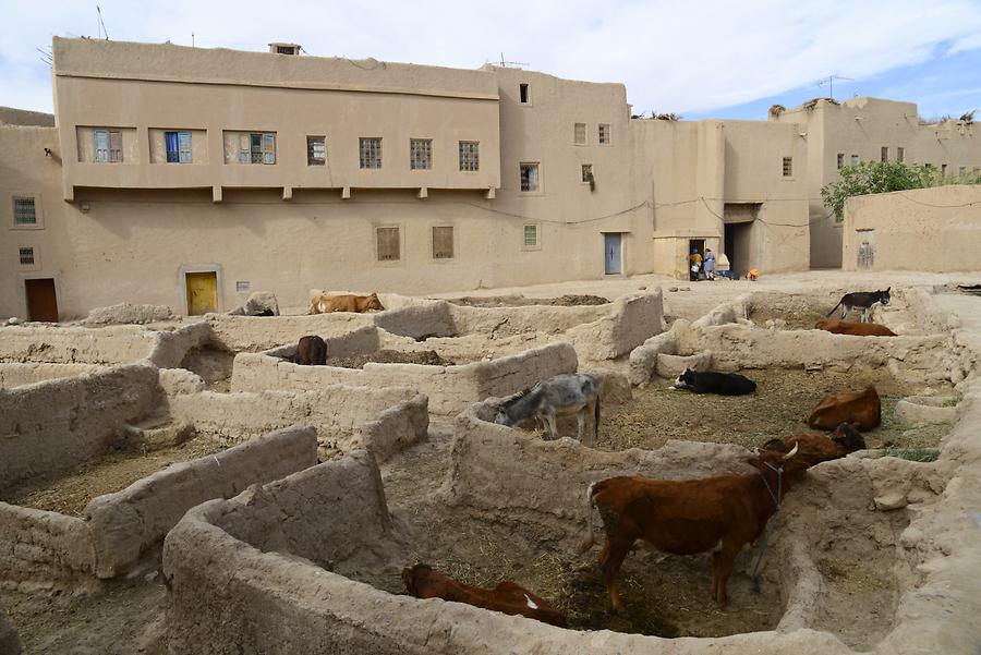 Goulmima - Ksar; Stable