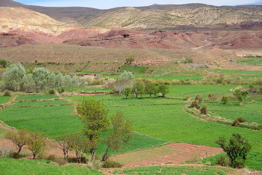 Landscape near Telouet