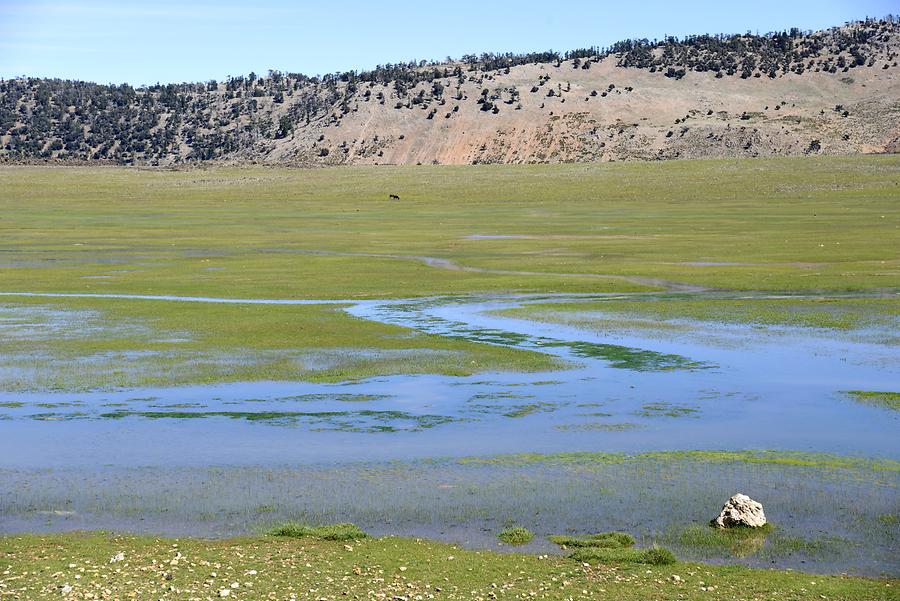 Landscape near Timahdite