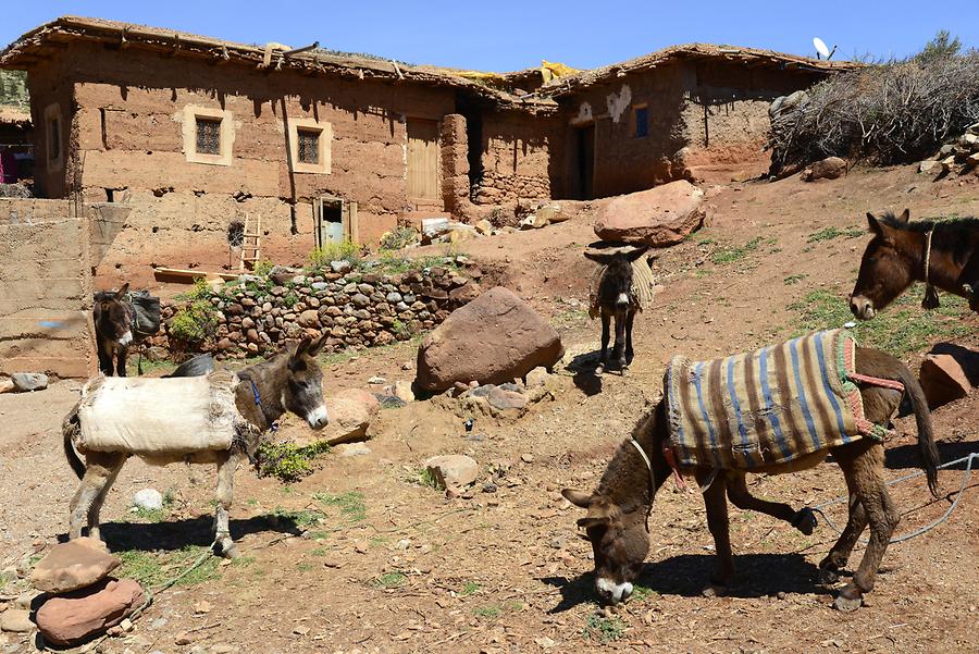 Weekly Market near Aït M'hamed