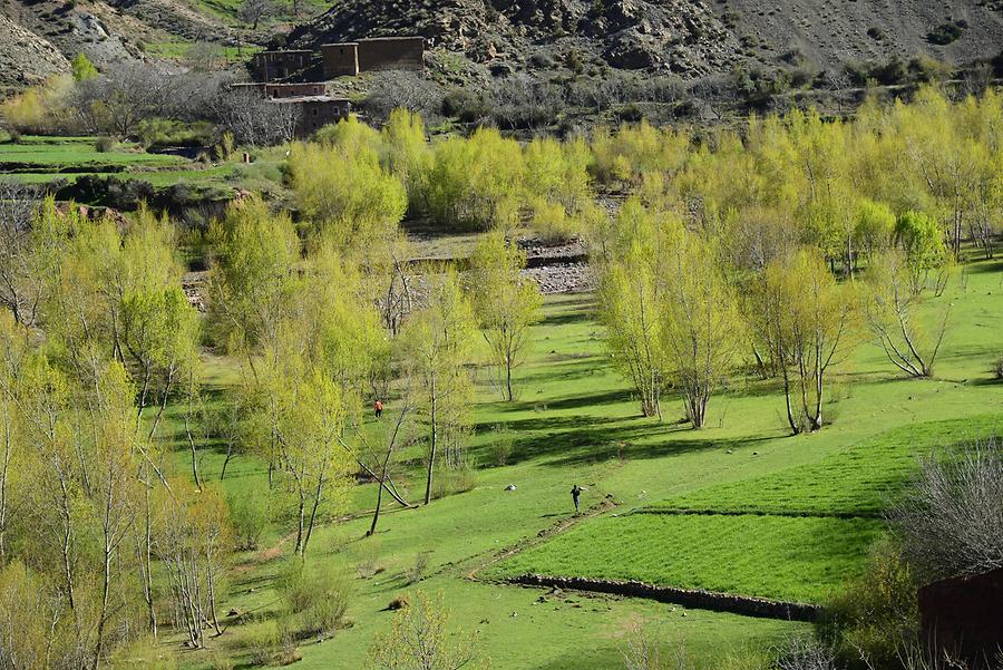 Landscape near Achaouik