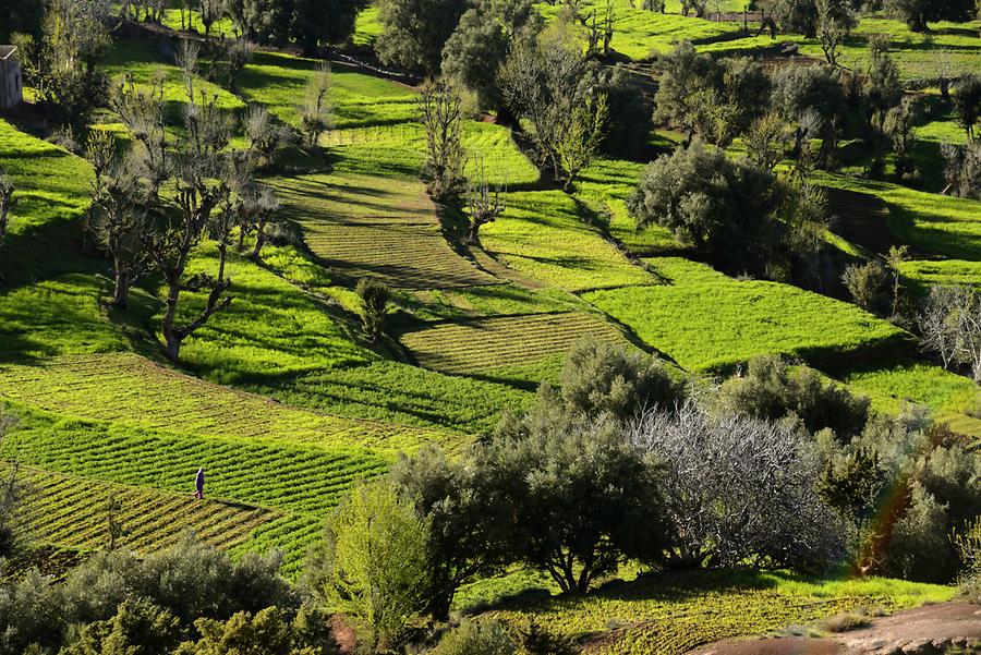 Landscape near Achaouik