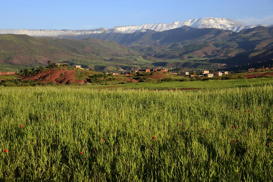 Landscape near Achaouik
