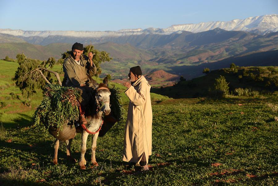 Berber