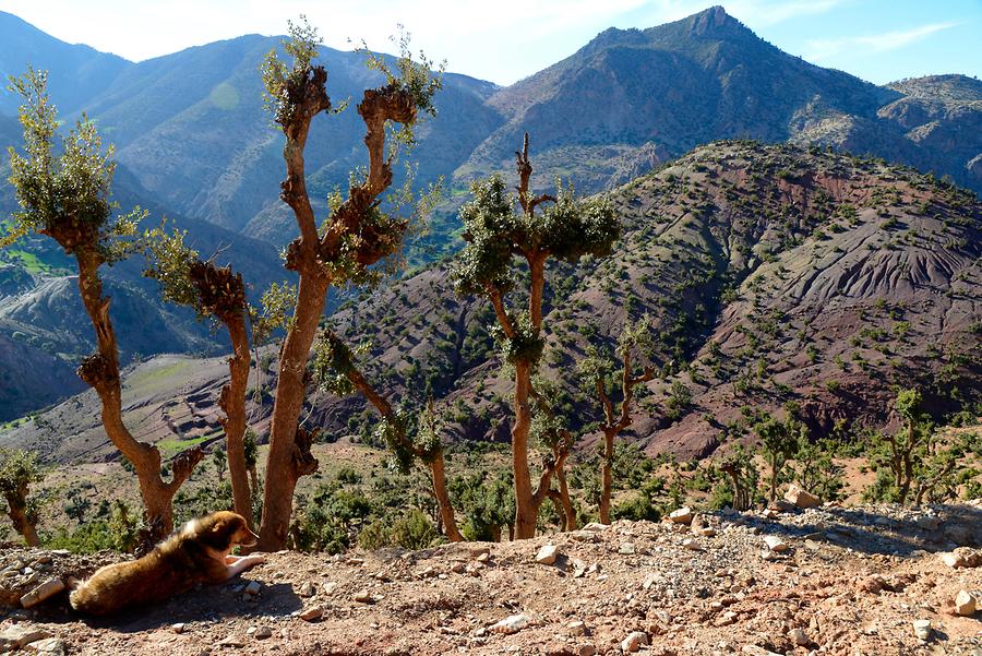 Landscape near Achaouik