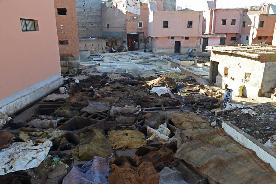 Marrakech - Tannery