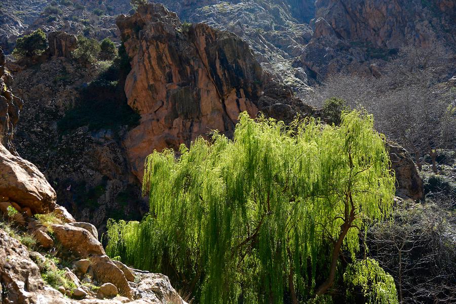 Ourika Valley - Sti Fadma