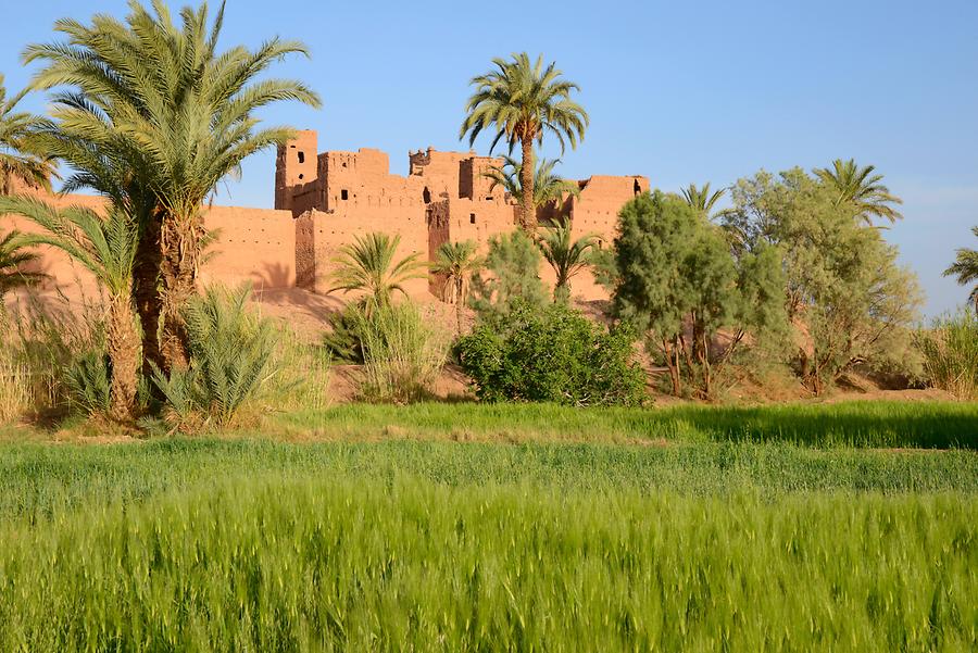 Valley of the Draa - Kasbah