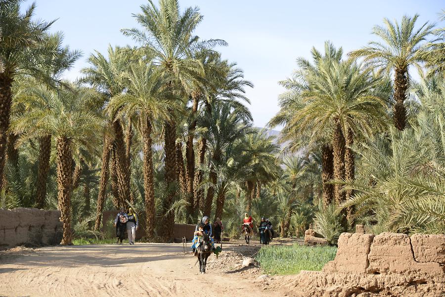 Valley of the Draa