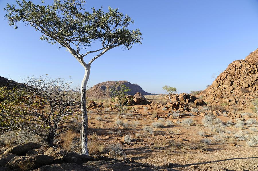 Drive to Twyfelfontein