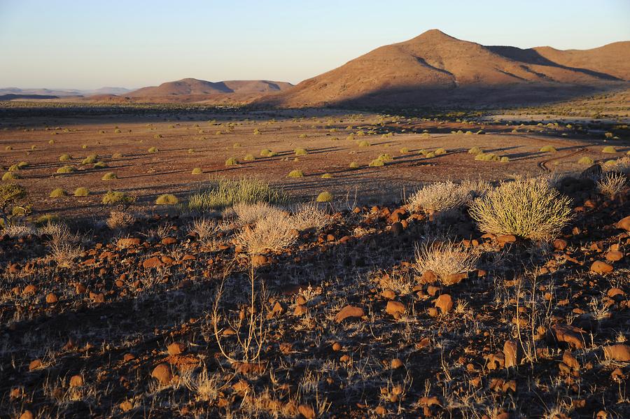 Palmwag Landscape