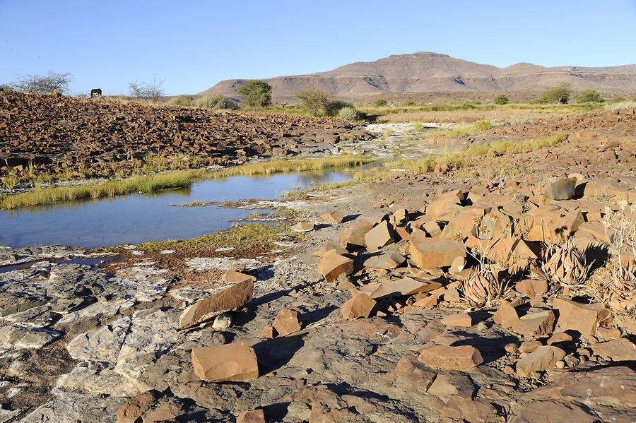 Palmwag Landscape