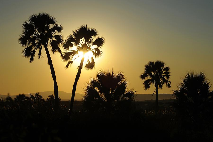 Palmwag Sunset