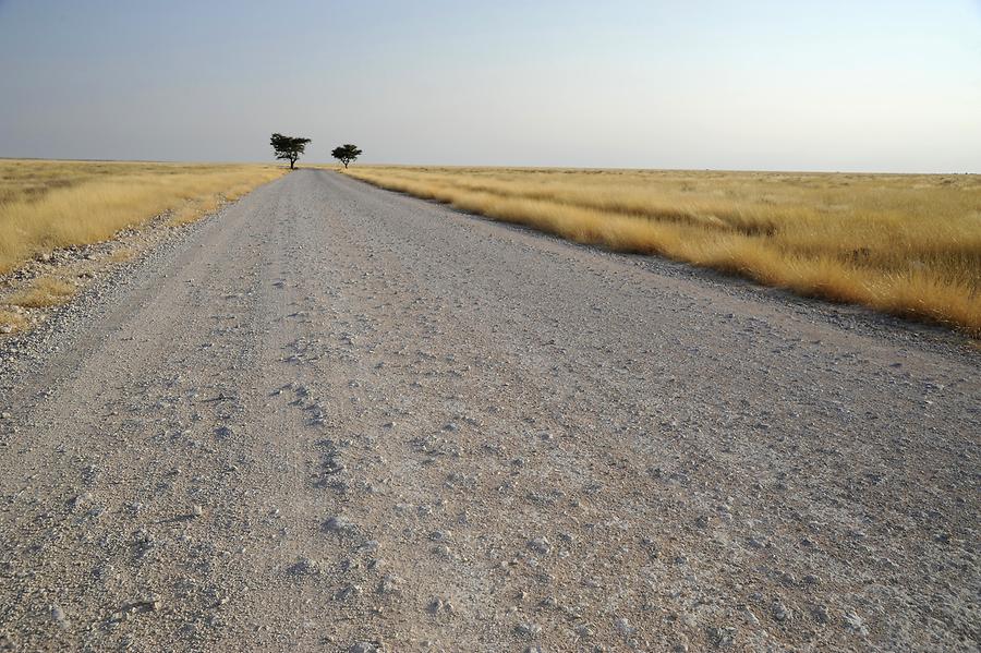 Drive through Etosha