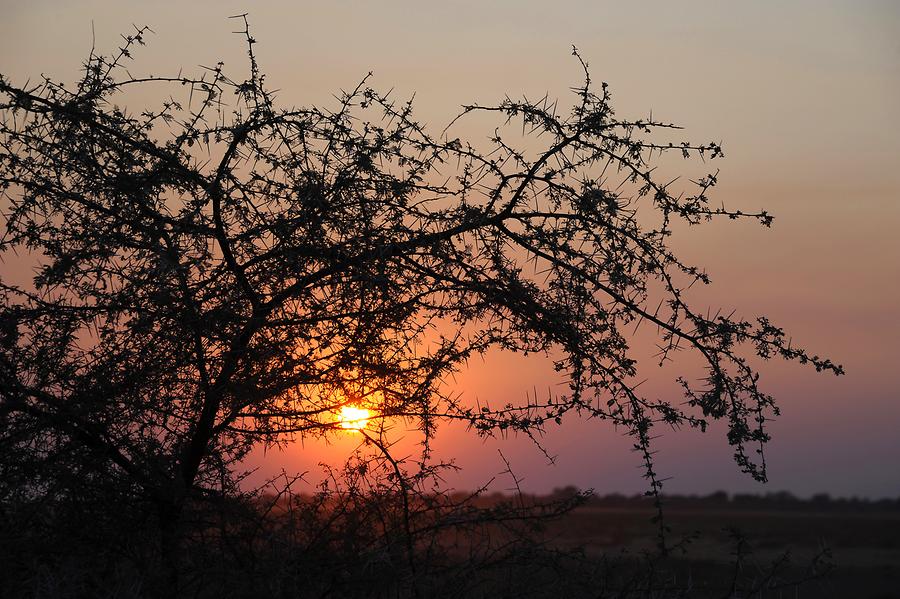 Etosha National Park Sunset