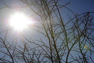 Etosha National Park West (1)