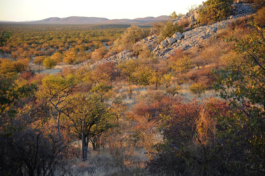 Etosha National Park West