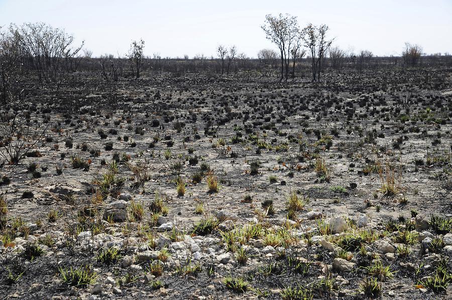 Etosha National Park West