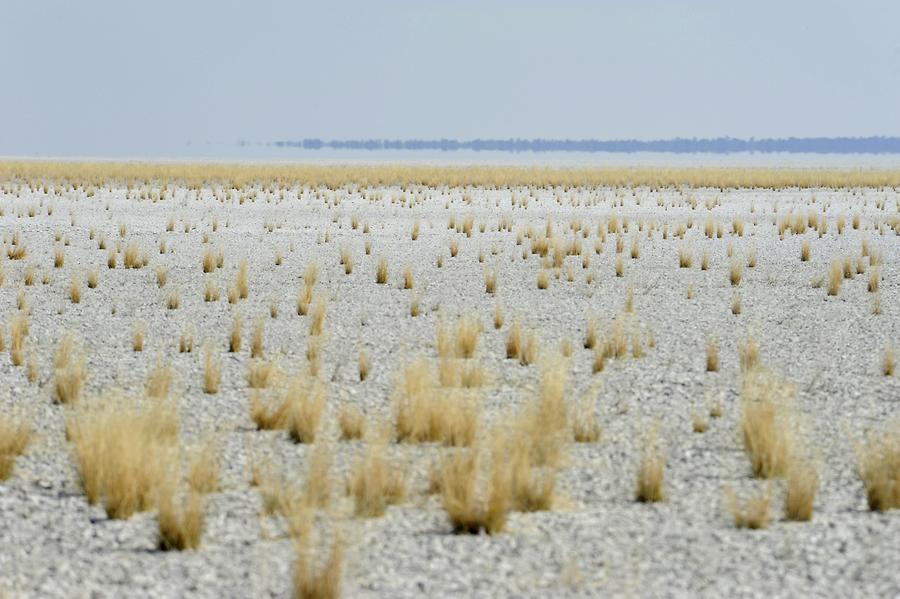 Etosha Salt Pan