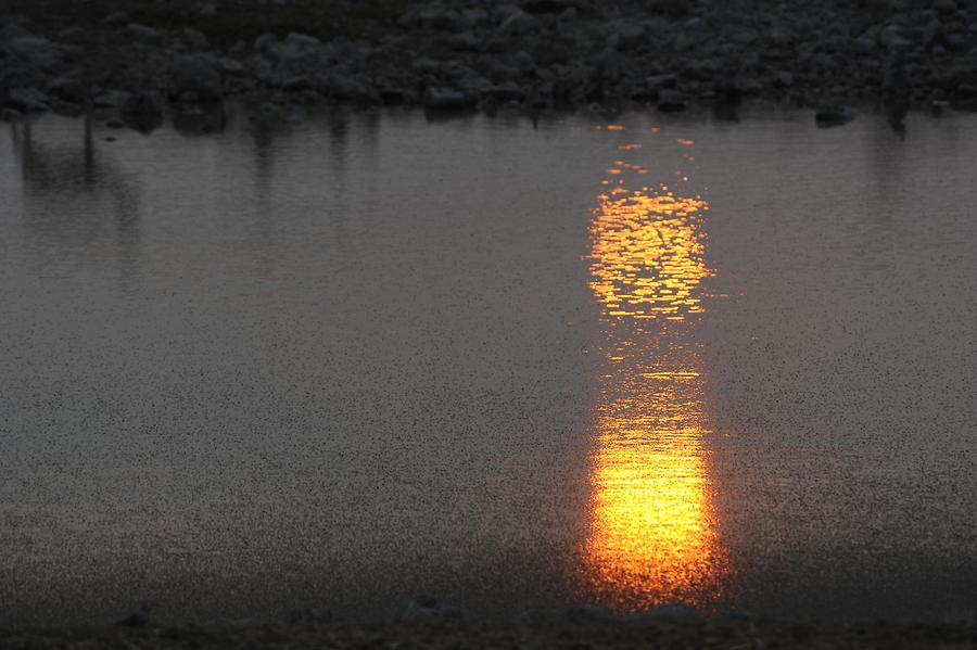 Okaukuejo Sunset