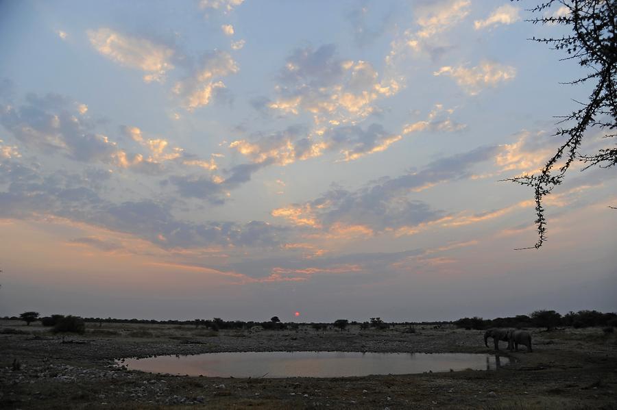 Okaukuejo Sunset