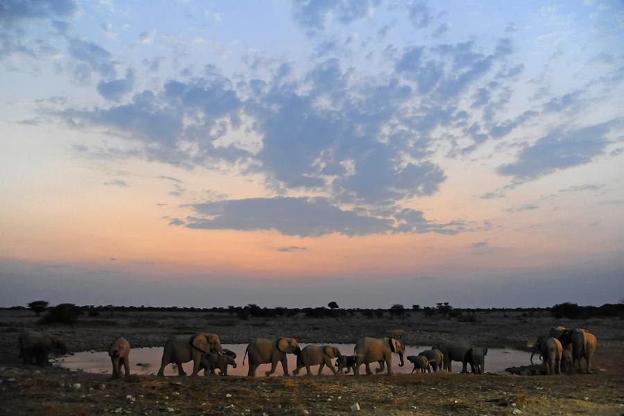 Okaukuejo Sunset