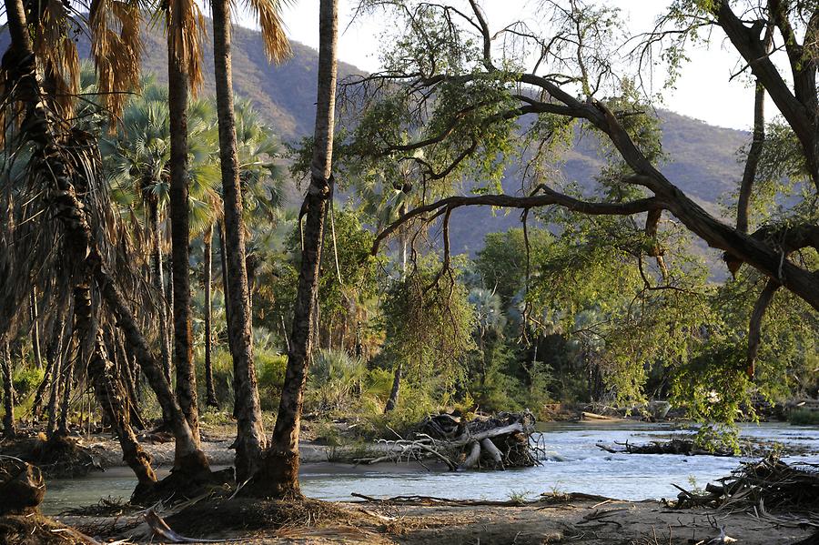 Cunene River