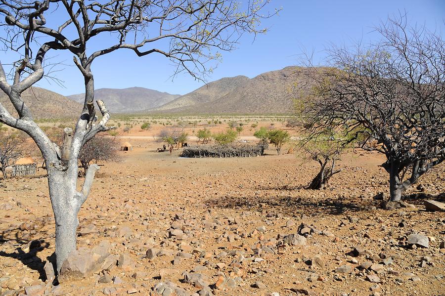 Himba Village