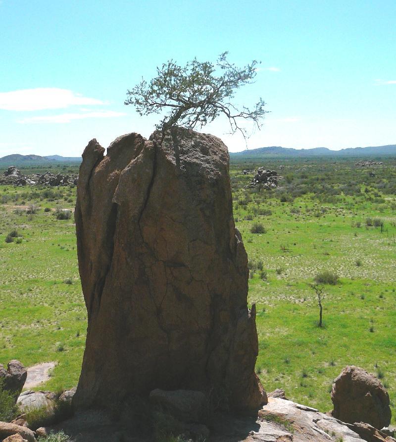 Amazing boulders