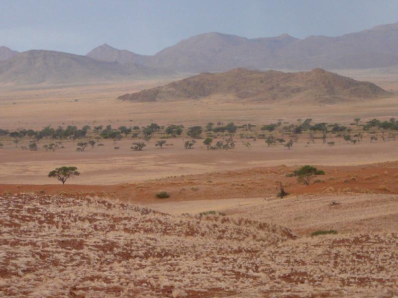 Namib Desert