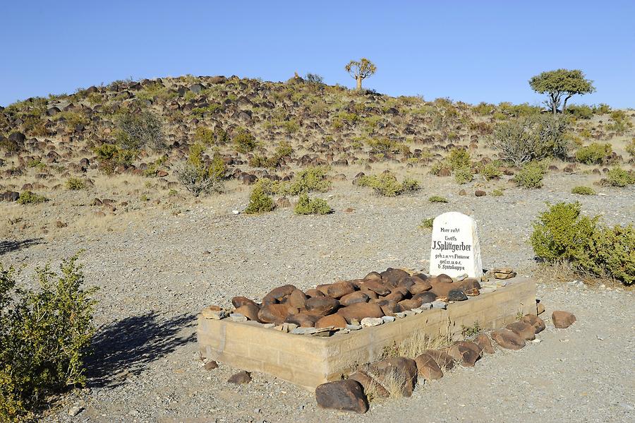 Tomb of the Mesosaurus