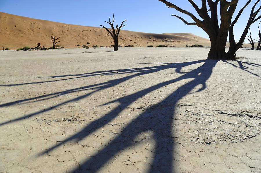 Deadvlei