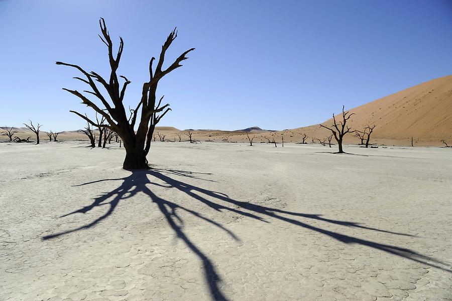 Deadvlei